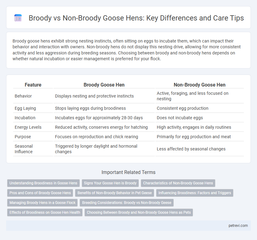 Broody vs Non-Broody Goose Hens: Key Differences and Care Tips