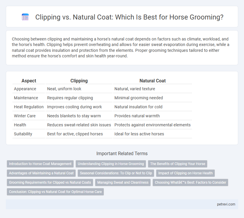 Clipping vs. Natural Coat: Which Is Best for Horse Grooming?