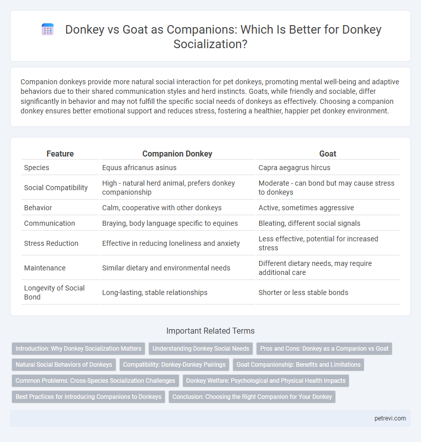 Donkey vs Goat as Companions: Which Is Better for Donkey Socialization?