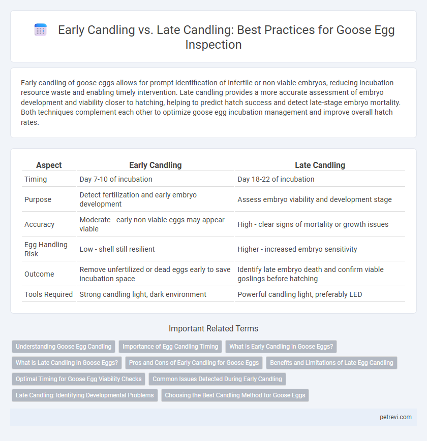 Early Candling vs. Late Candling: Best Practices for Goose Egg Inspection