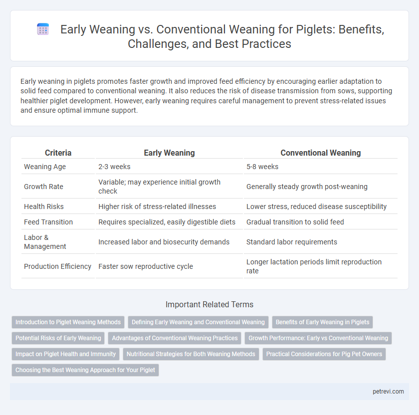 Early Weaning vs. Conventional Weaning for Piglets: Benefits, Challenges, and Best Practices