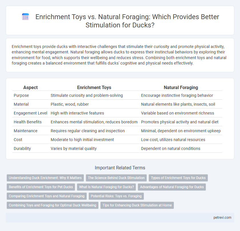 Enrichment Toys vs. Natural Foraging: Which Provides Better Stimulation for Ducks?