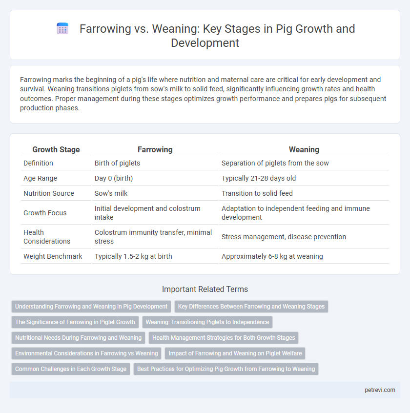 Farrowing vs. Weaning: Key Stages in Pig Growth and Development