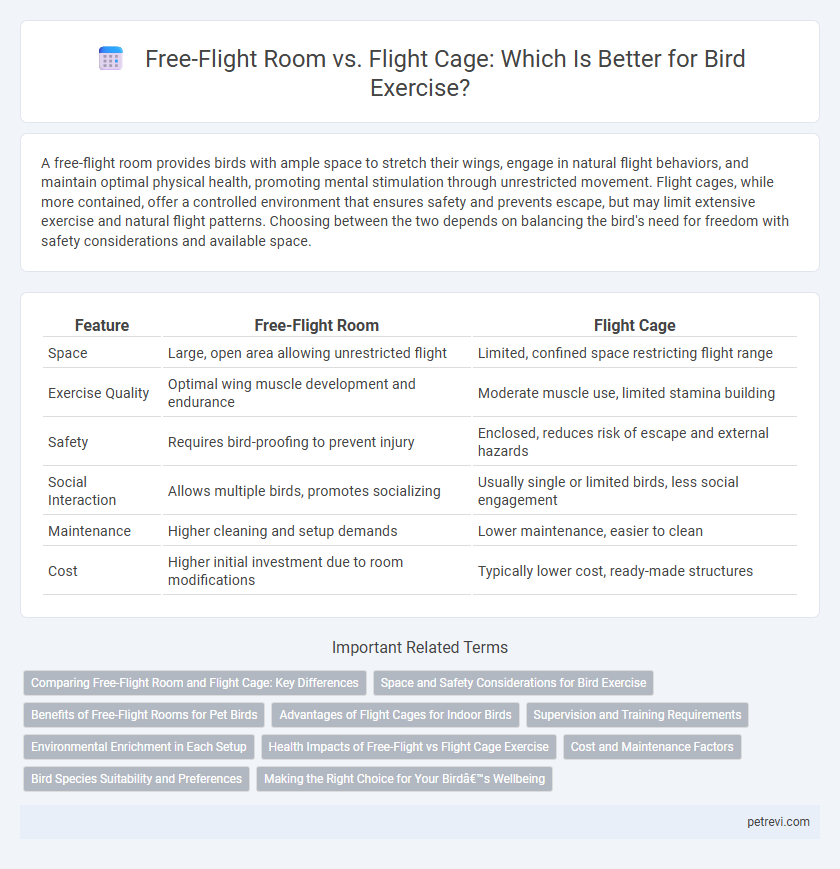 Free-Flight Room vs. Flight Cage: Which Is Better for Bird Exercise?