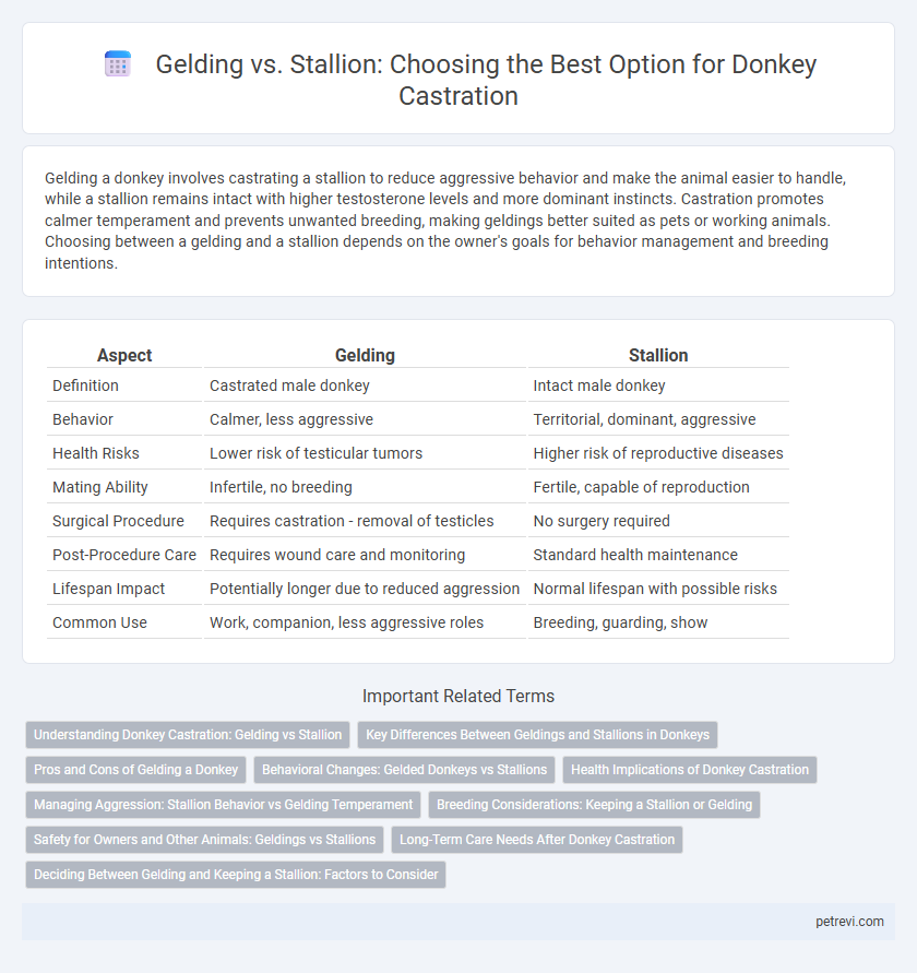 Gelding vs. Stallion: Choosing the Best Option for Donkey Castration