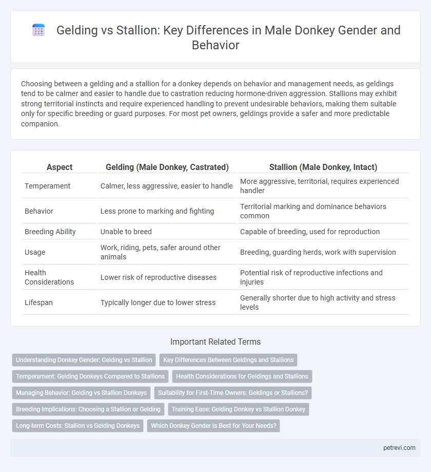 Gelding vs Stallion: Key Differences in Male Donkey Gender and Behavior