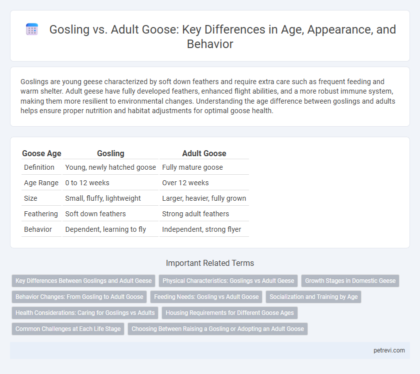 Gosling vs. Adult Goose: Key Differences in Age, Appearance, and Behavior