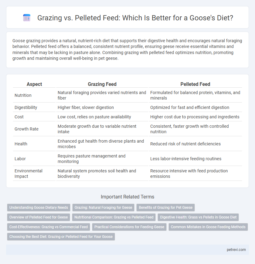 Grazing vs. Pelleted Feed: Which Is Better for a Goose's Diet?
