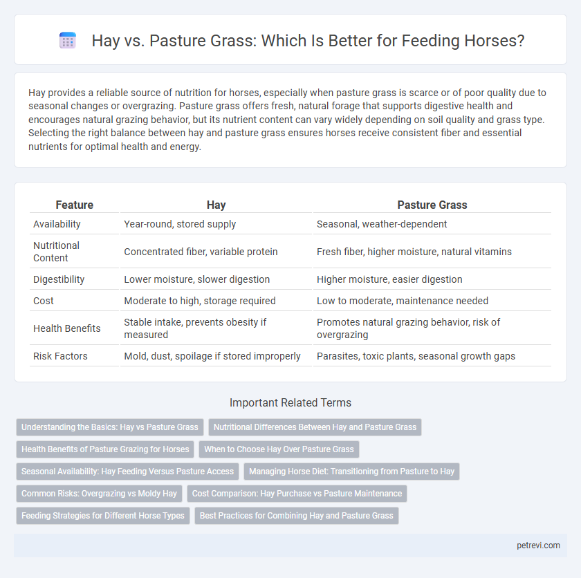 Hay vs. Pasture Grass: Which Is Better for Feeding Horses?