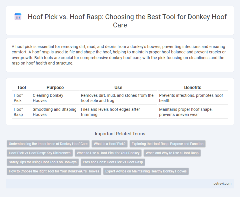 Hoof Pick vs. Hoof Rasp: Choosing the Best Tool for Donkey Hoof Care