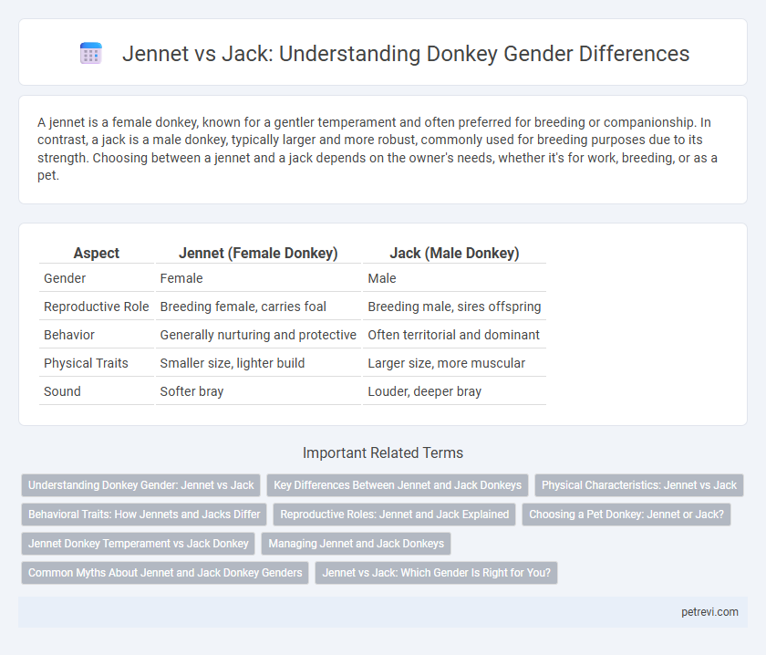 Jennet vs Jack: Understanding Donkey Gender Differences