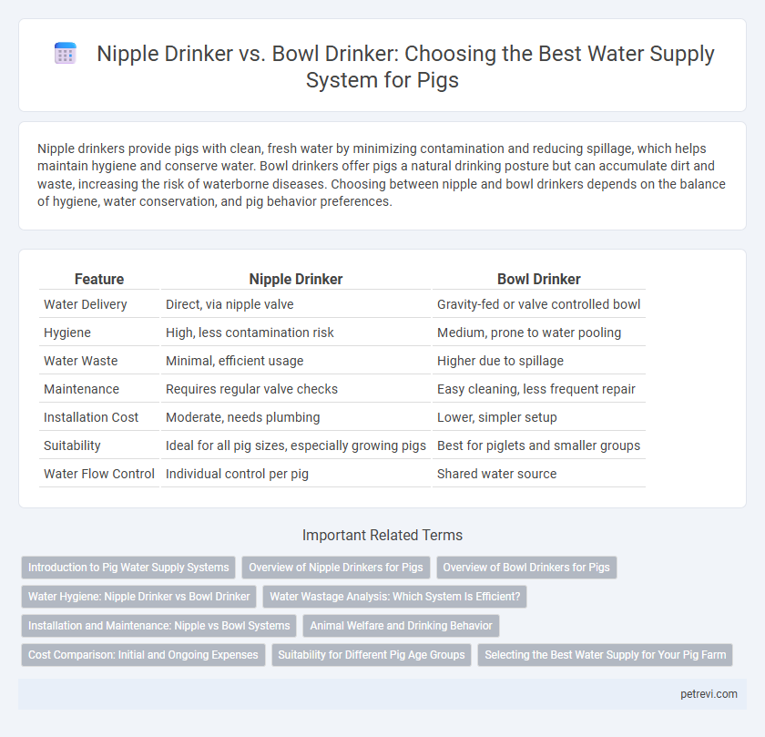 Nipple Drinker vs. Bowl Drinker: Choosing the Best Water Supply System for Pigs