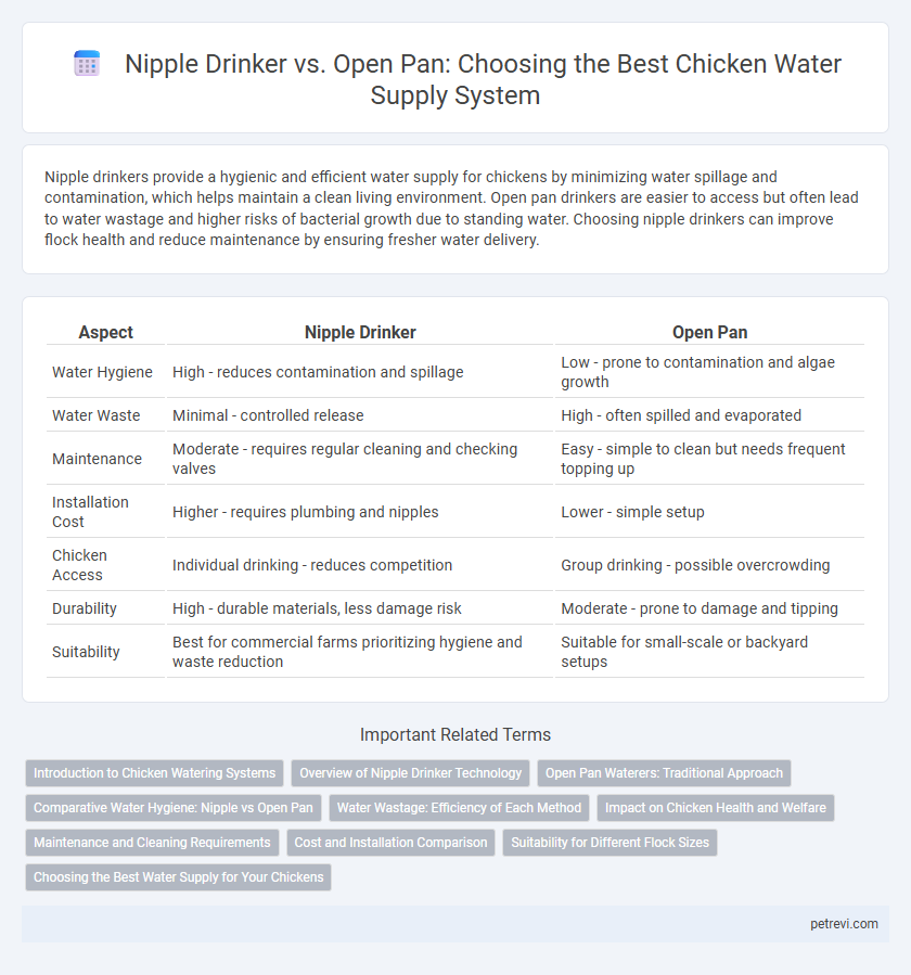 Nipple Drinker vs. Open Pan: Choosing the Best Chicken Water Supply System