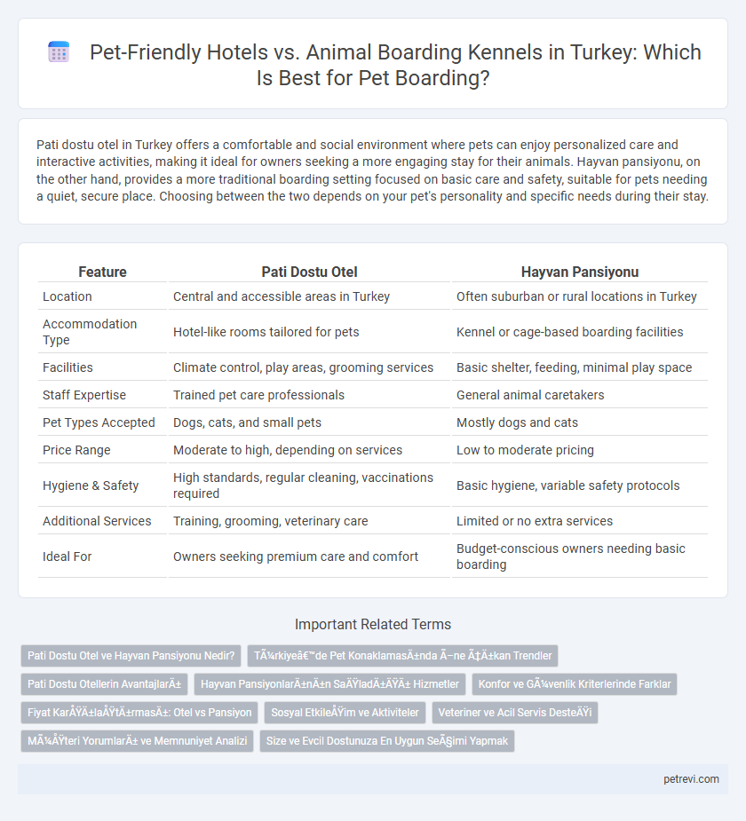 Pet-Friendly Hotels vs. Animal Boarding Kennels in Turkey: Which Is Best for Pet Boarding?