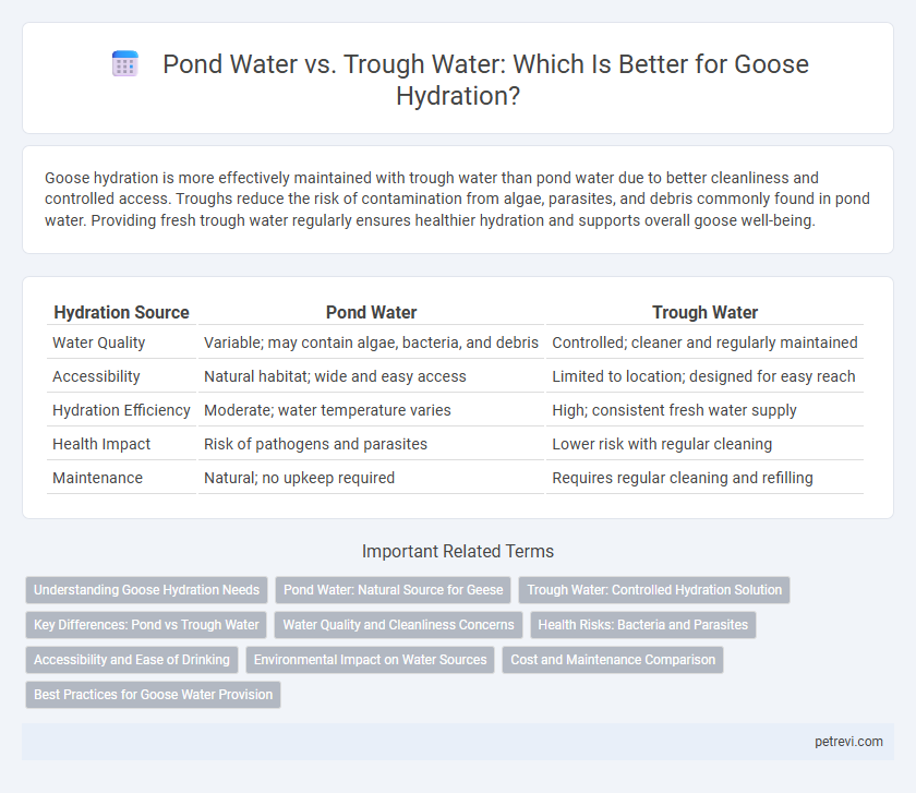 Pond Water vs. Trough Water: Which Is Better for Goose Hydration?