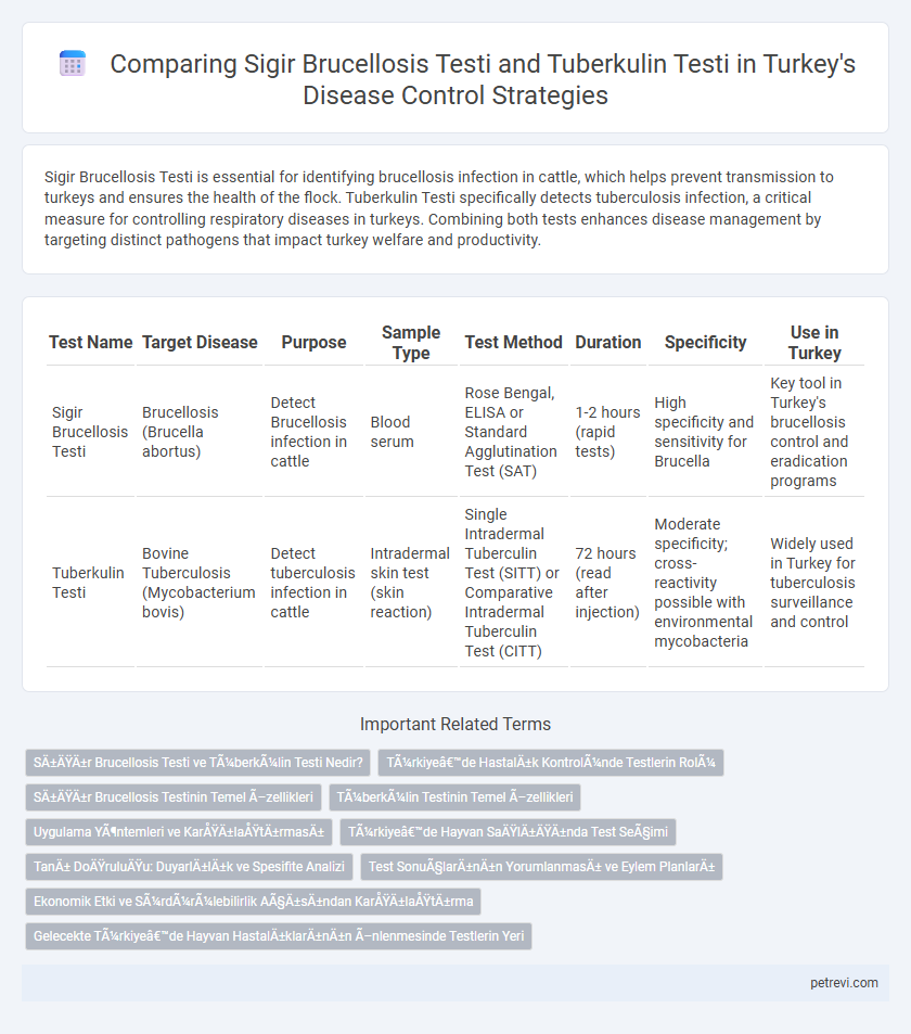 Comparing Sigir Brucellosis Testi and Tuberkulin Testi in Turkey's Disease Control Strategies