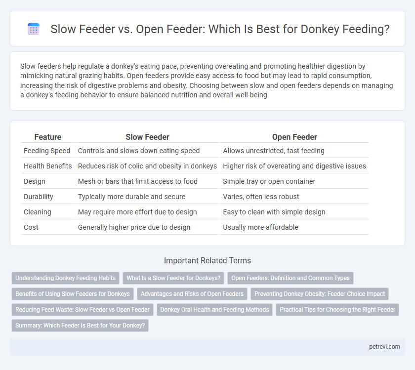 Slow Feeder vs. Open Feeder: Which Is Best for Donkey Feeding?