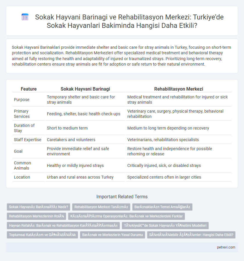 Sokak Hayvani Barinagi ve Rehabilitasyon Merkezi: Turkiye'de Sokak Hayvanlari Bakiminda Hangisi Daha Etkili?