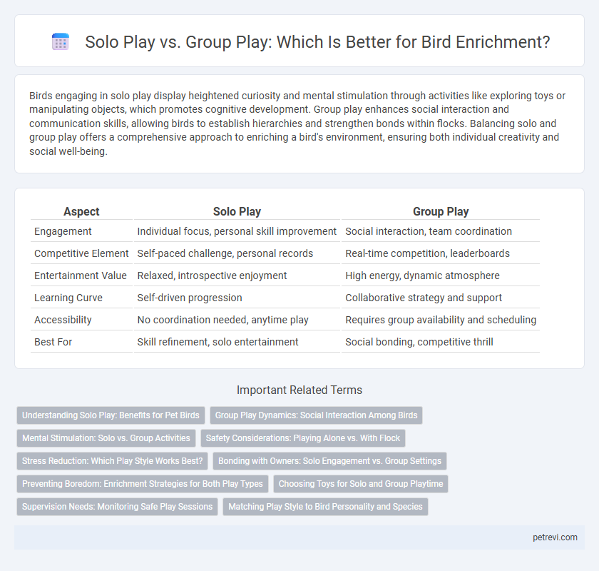 Solo Play vs. Group Play: Which Is Better for Bird Enrichment?