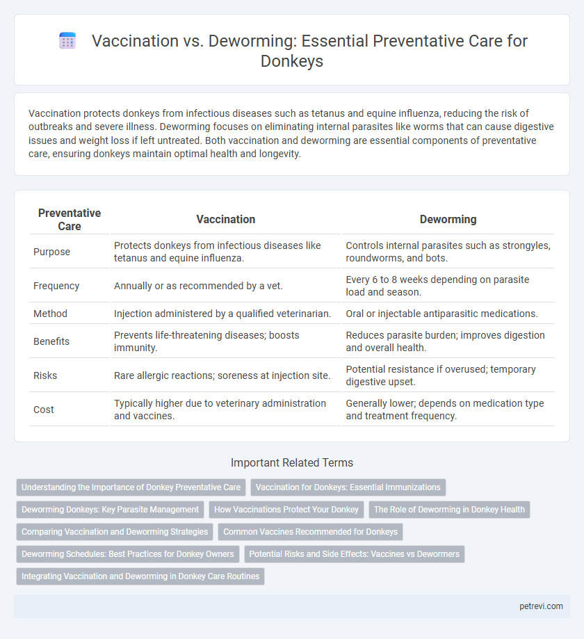 Vaccination vs. Deworming: Essential Preventative Care for Donkeys