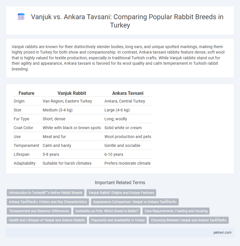 Vanjuk vs. Ankara Tavsani: Comparing Popular Rabbit Breeds in Turkey