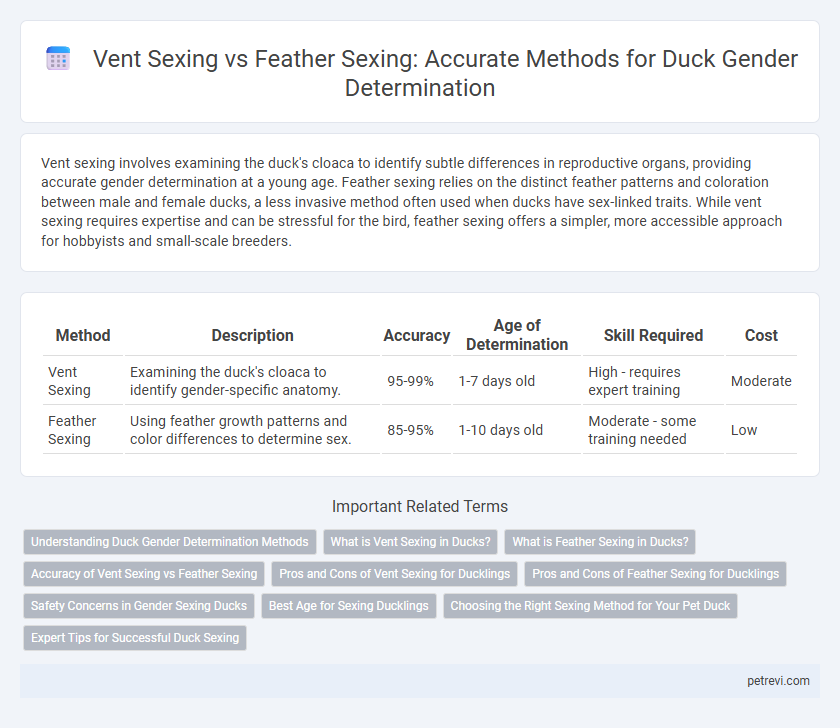 Vent Sexing vs Feather Sexing: Accurate Methods for Duck Gender Determination