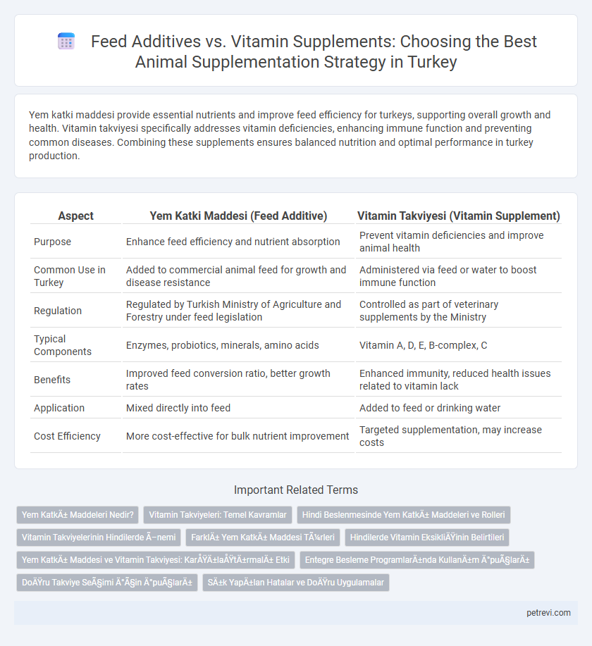 Feed Additives vs. Vitamin Supplements: Choosing the Best Animal Supplementation Strategy in Turkey