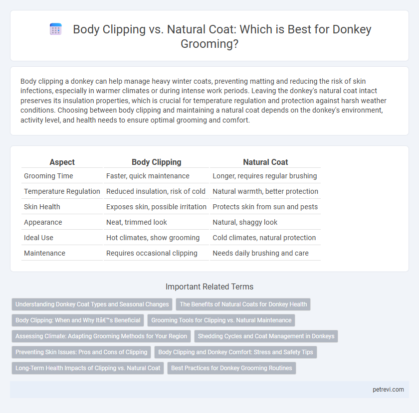 Body Clipping vs. Natural Coat: Which is Best for Donkey Grooming?