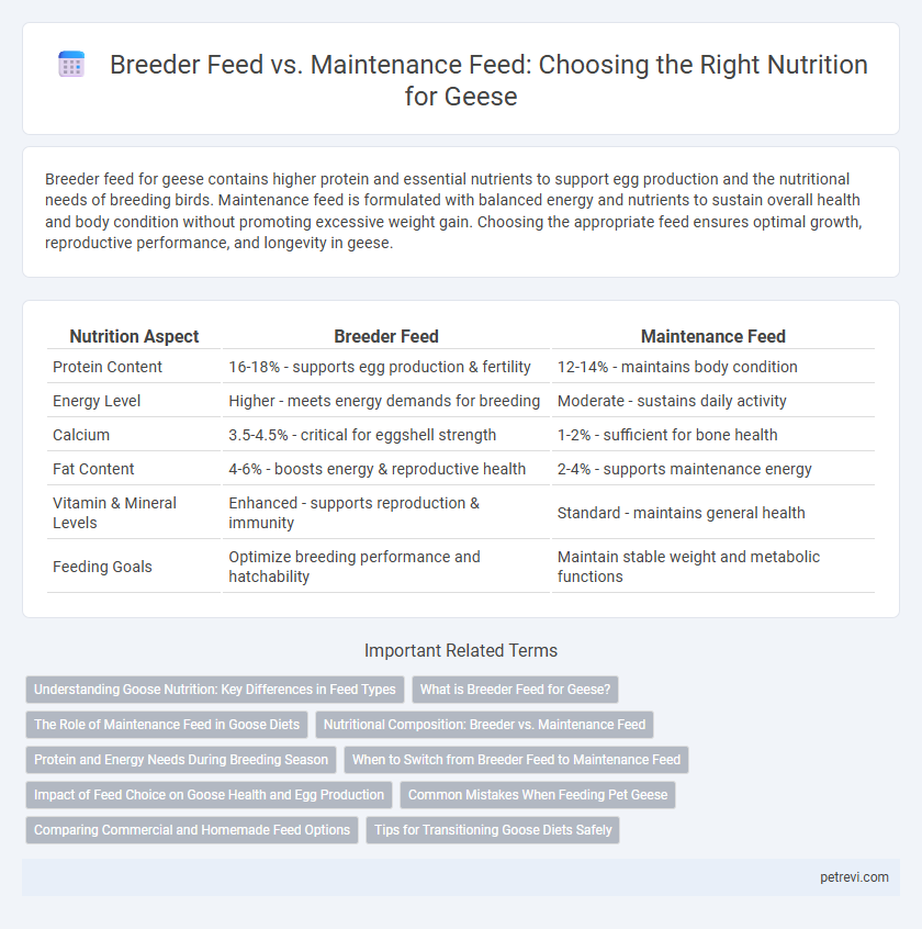 Breeder Feed vs. Maintenance Feed: Choosing the Right Nutrition for Geese
