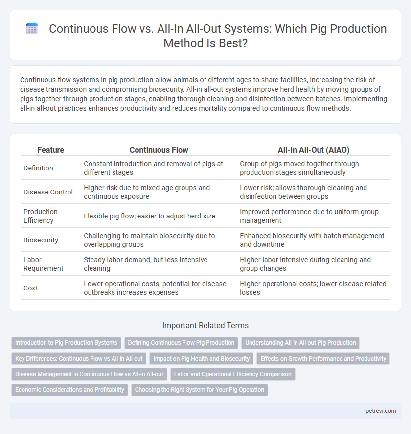 Continuous Flow vs. All-In All-Out Systems: Which Pig Production Method Is Best?