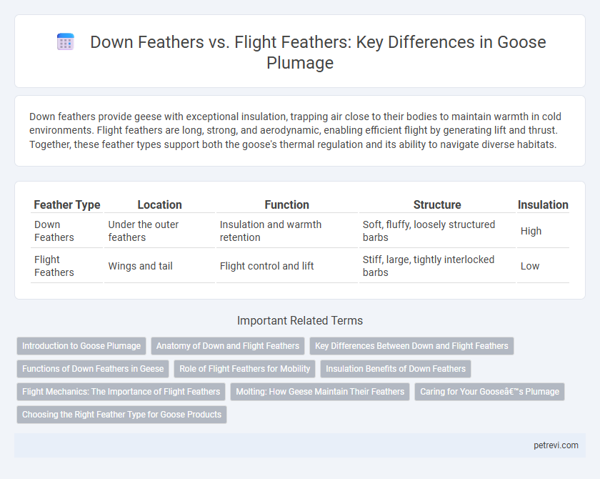 Down Feathers vs. Flight Feathers: Key Differences in Goose Plumage