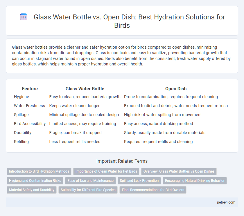Glass Water Bottle vs. Open Dish: Best Hydration Solutions for Birds