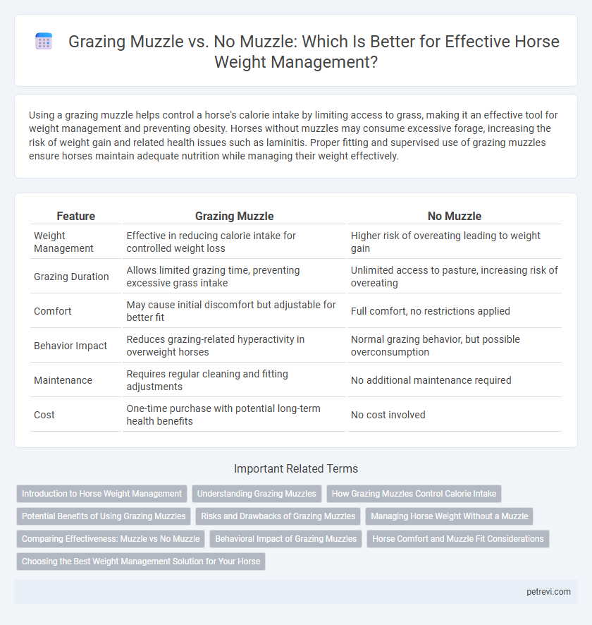 Grazing Muzzle vs. No Muzzle: Which Is Better for Effective Horse Weight Management?