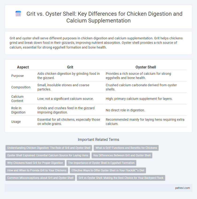 Grit vs. Oyster Shell: Key Differences for Chicken Digestion and Calcium Supplementation