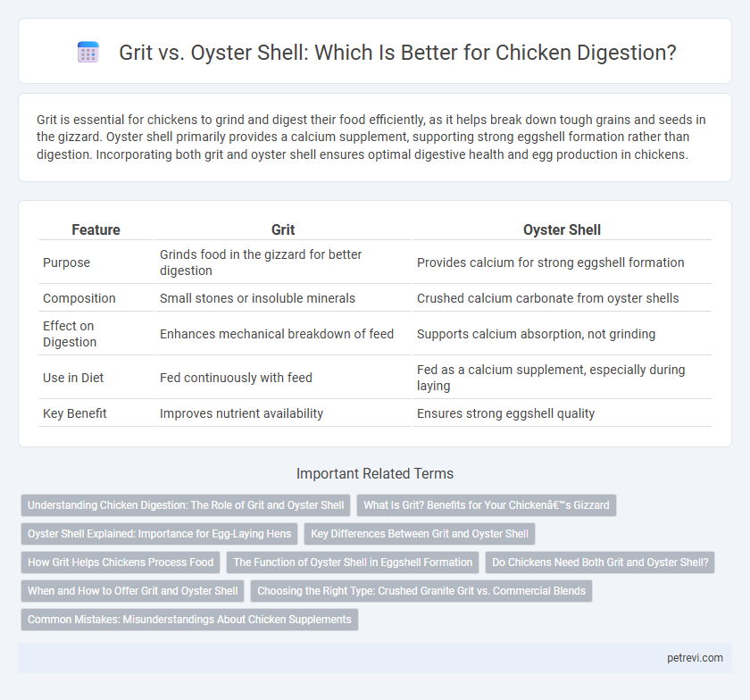 Grit vs. Oyster Shell: Which Is Better for Chicken Digestion?