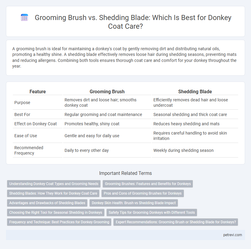 Grooming Brush vs. Shedding Blade: Which Is Best for Donkey Coat Care?