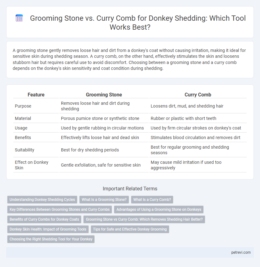 Grooming Stone vs. Curry Comb for Donkey Shedding: Which Tool Works Best?
