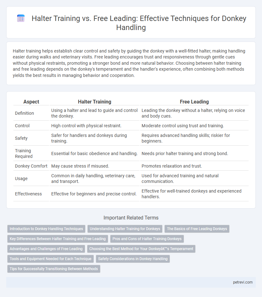 Halter Training vs. Free Leading: Effective Techniques for Donkey Handling