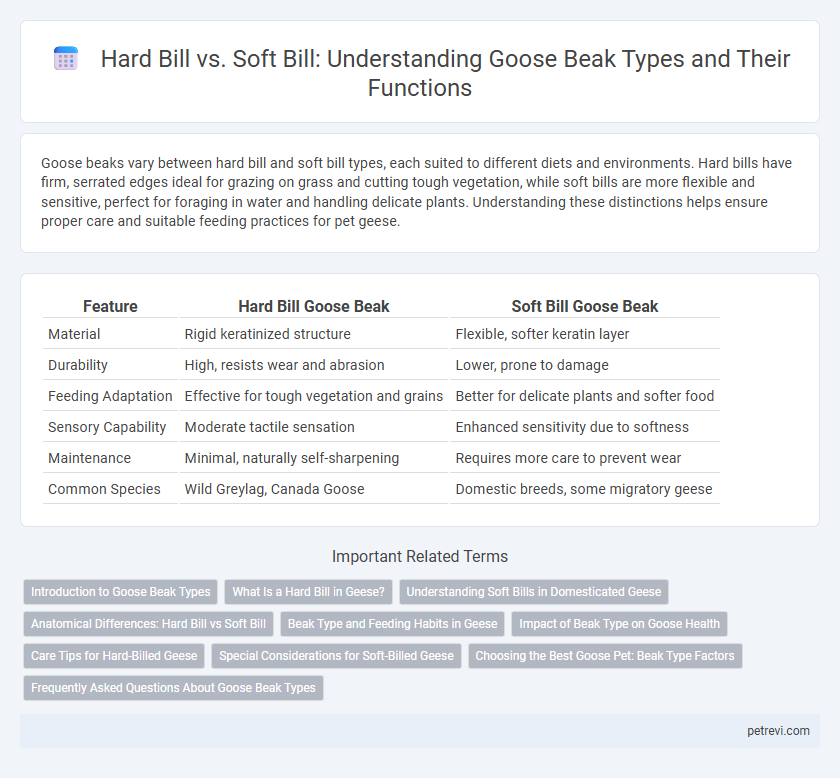 Hard Bill vs. Soft Bill: Understanding Goose Beak Types and Their Functions