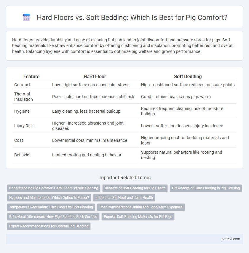 Hard Floors vs. Soft Bedding: Which Is Best for Pig Comfort?