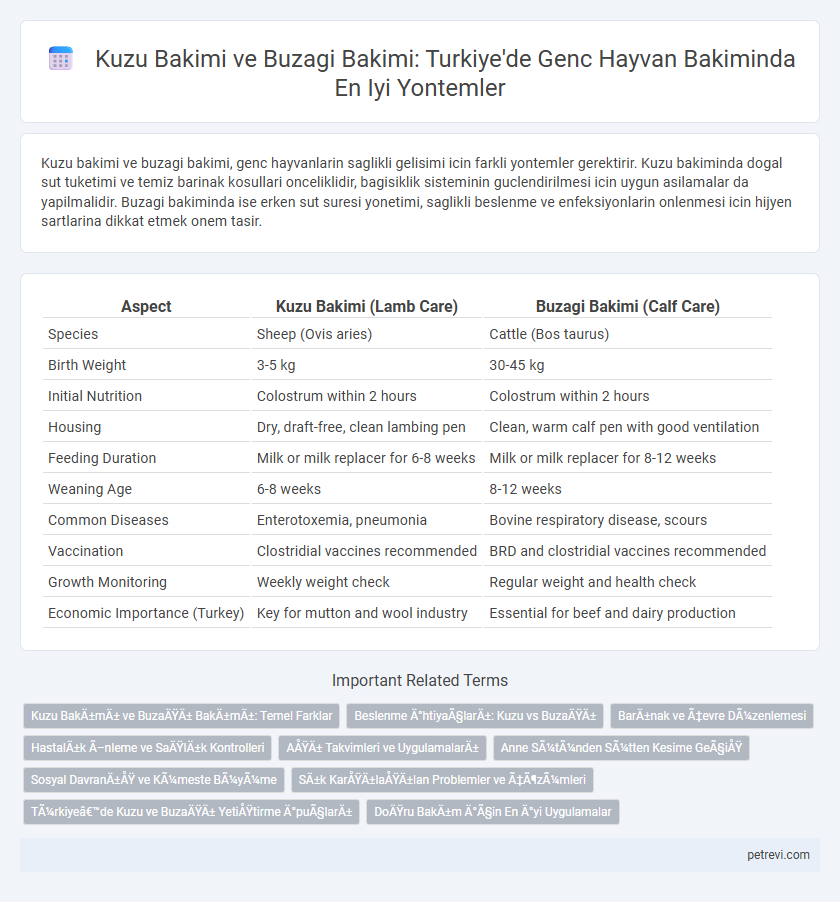 Kuzu Bakimi ve Buzagi Bakimi: Turkiye'de Genc Hayvan Bakiminda En Iyi Yontemler