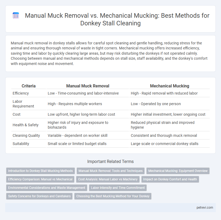 Manual Muck Removal vs. Mechanical Mucking: Best Methods for Donkey Stall Cleaning