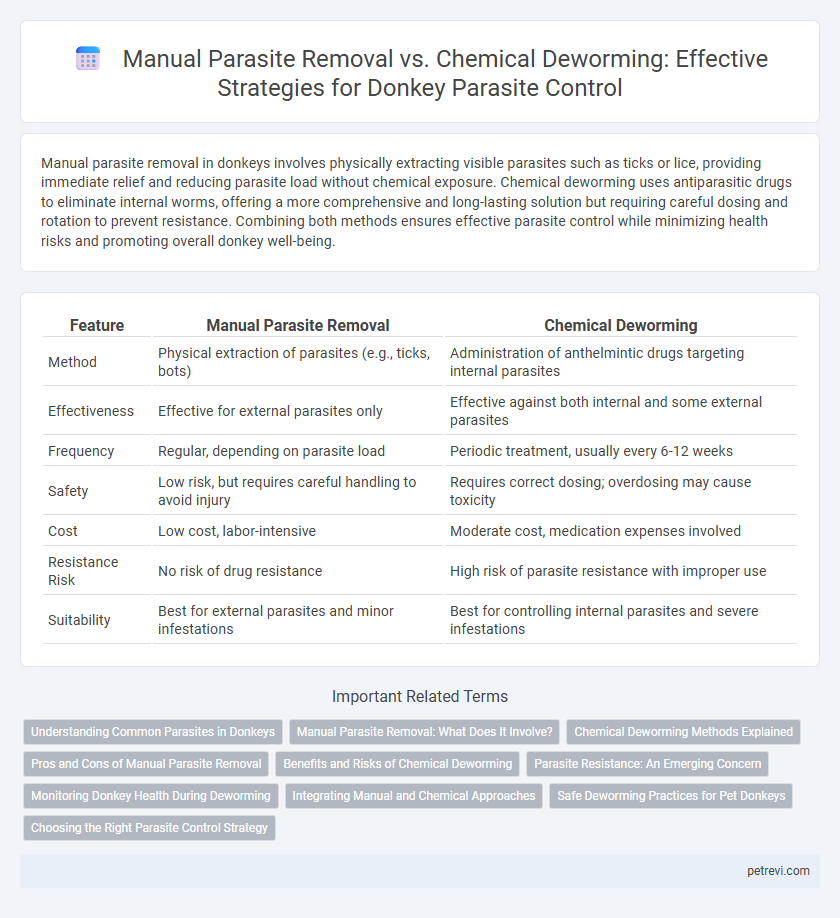 Manual Parasite Removal vs. Chemical Deworming: Effective Strategies for Donkey Parasite Control