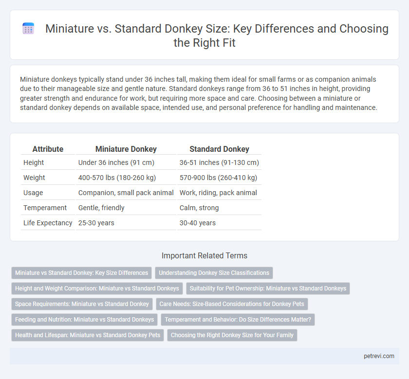 Miniature vs. Standard Donkey Size: Key Differences and Choosing the Right Fit