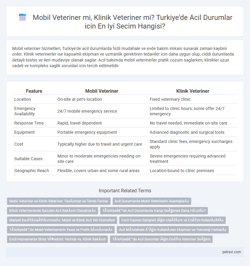 Mobil Veteriner mi, Klinik Veteriner mi? Turkiye'de Acil Durumlar icin En Iyi Secim Hangisi?