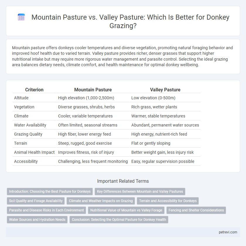 Mountain Pasture vs. Valley Pasture: Which Is Better for Donkey Grazing?