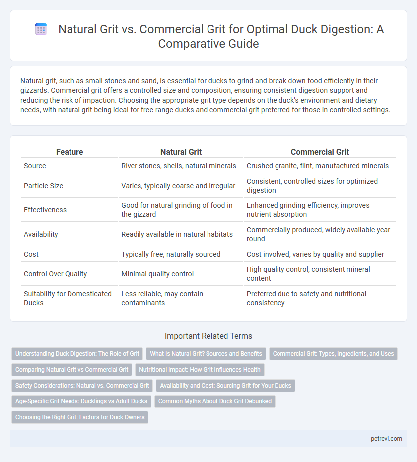 Natural Grit vs. Commercial Grit for Optimal Duck Digestion: A Comparative Guide
