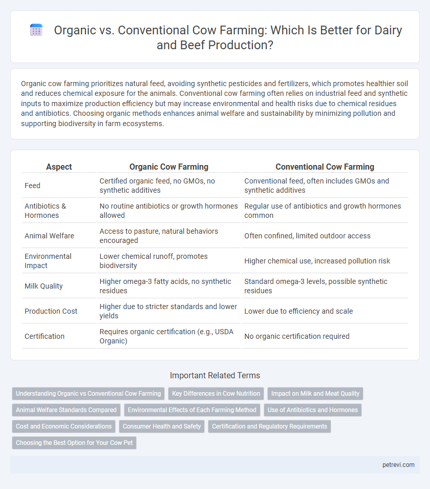Organic vs. Conventional Cow Farming: Which Is Better for Dairy and Beef Production?