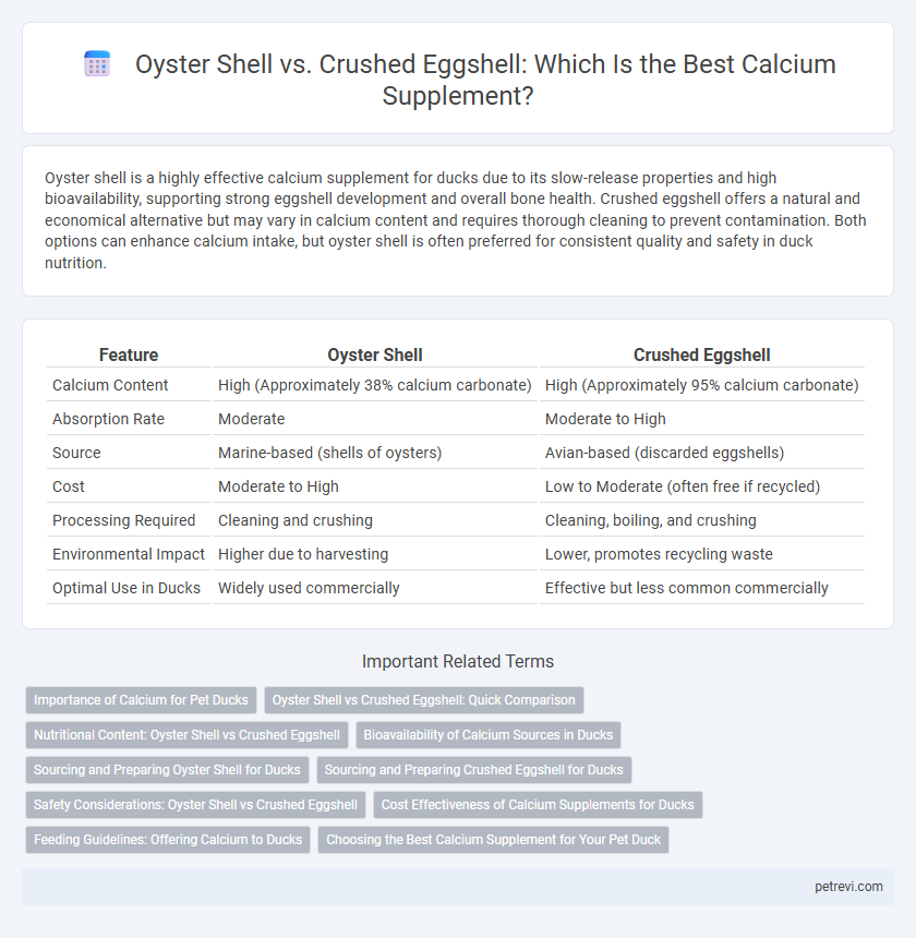 Oyster Shell vs. Crushed Eggshell: Which Is the Best Calcium Supplement?