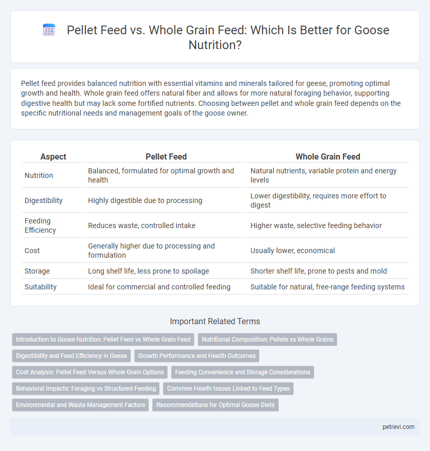 Pellet Feed vs. Whole Grain Feed: Which Is Better for Goose Nutrition?